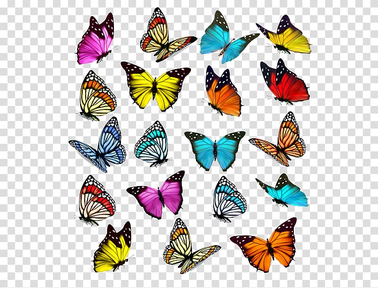 assorted-color butterfly illustration, Butterfly Euclidean Illustration, All kinds of flowers butterfly transparent background PNG clipart