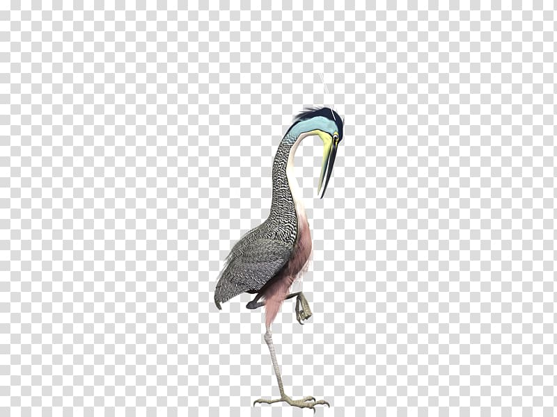 Hautes-Pyrxe9nxe9es Google Daydream Goose Color, Wild crane transparent background PNG clipart