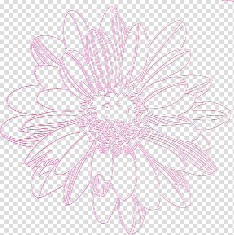 Dahlia Floral design Drawing Visual arts Transvaal daisy, chrysanthemum transparent background PNG clipart