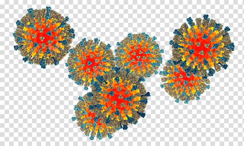 Measles virus Human parainfluenza viruses, virus transparent background PNG clipart