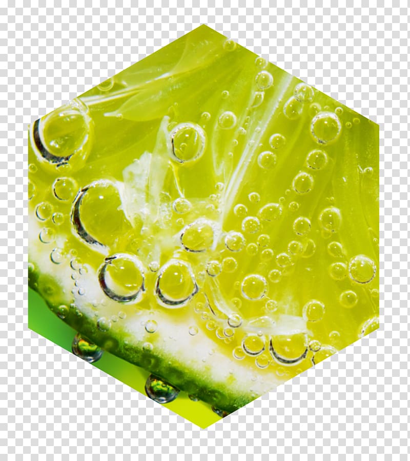 Desktop Lime G&L Scientific Inc , quality assurance transparent background PNG clipart