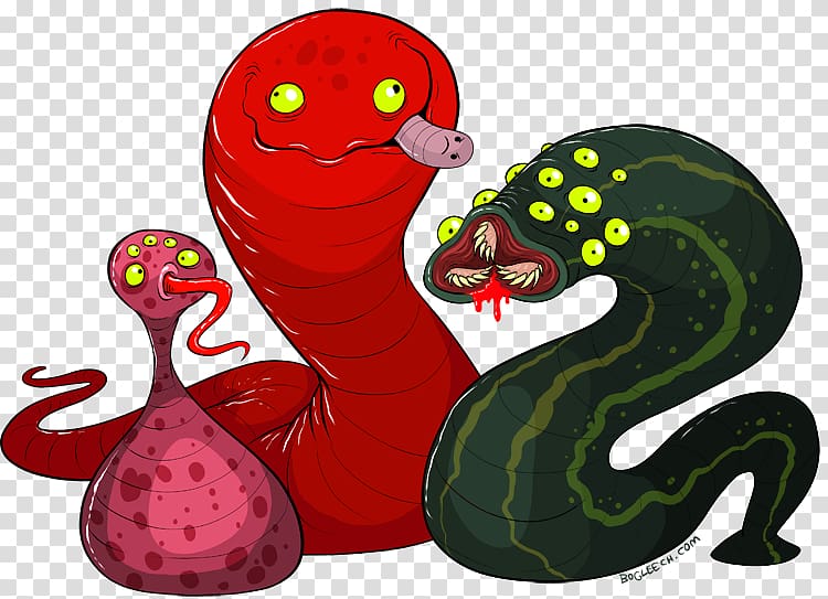 Worm Medicinal leech Animal Biology, others transparent background PNG clipart