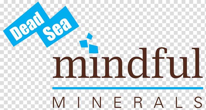 Mindfulness in the workplaces The Salt Retreat Life insurance, Sea minerals transparent background PNG clipart