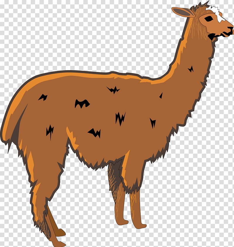 Llama Alpaca , Llama Head transparent background PNG clipart