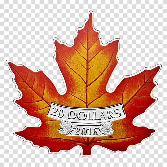 Silver coin Royal Canadian Mint Canadian Gold Maple Leaf, maple leaf design transparent background PNG clipart
