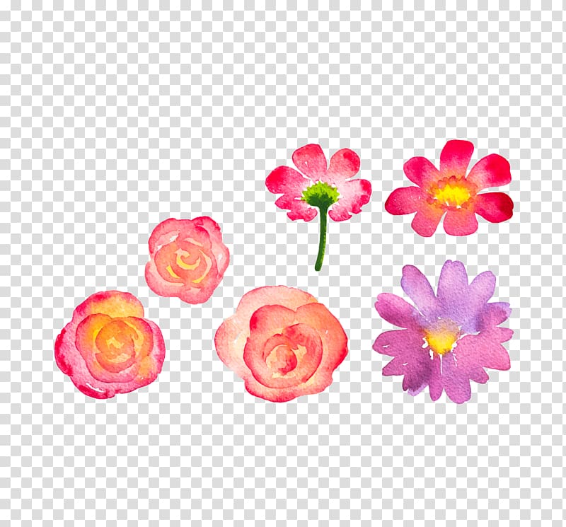 Flower Euclidean Drawing, Hand-painted flowers free to transparent background PNG clipart