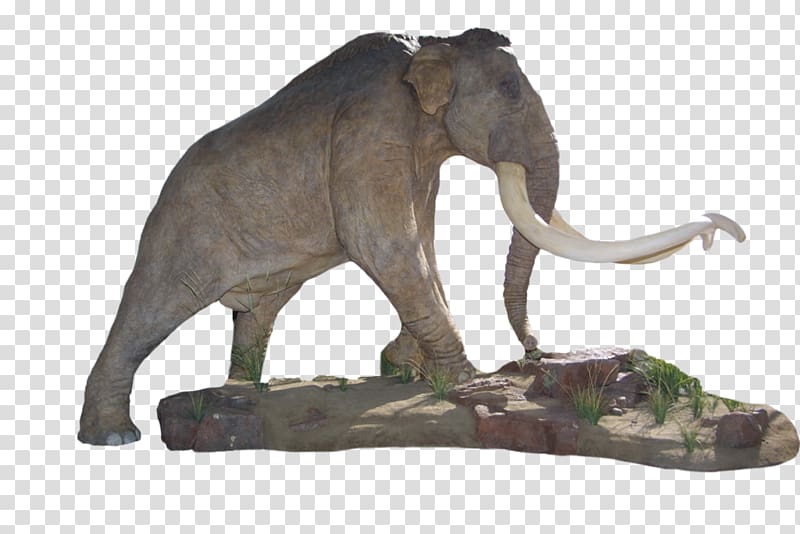 Indian elephant African elephant Mammoth Lakes Tusk Sculpture, Moi Day transparent background PNG clipart