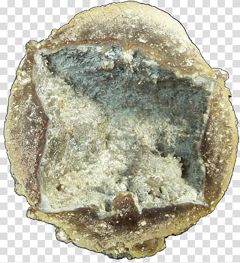 Mineral Thunderegg Artifact Sales Crystal, opal geode transparent background PNG clipart