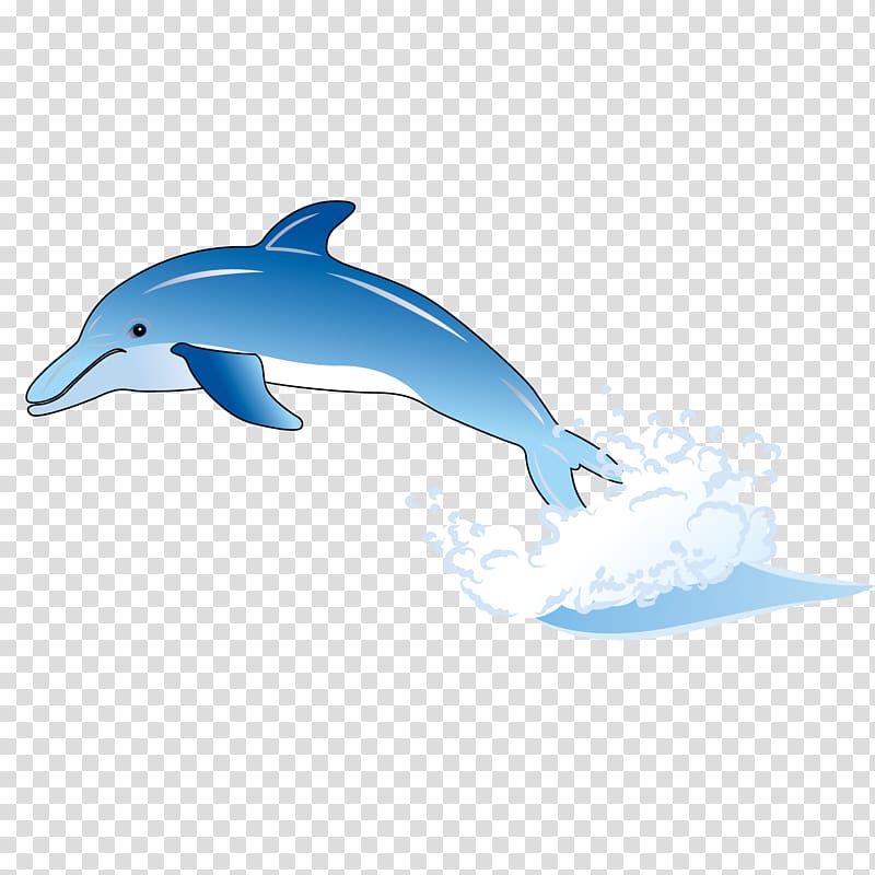 Common bottlenose dolphin Tucuxi Wholphin Short-beaked common dolphin, Cute dolphin transparent background PNG clipart