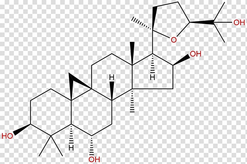 Cycloartenol Triterpene Lanosterol Lanostane Cucurbitacin, ASTRAGALI RADIX transparent background PNG clipart