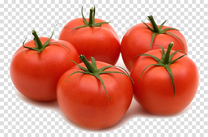 five tomatoes illustration, Plum tomato Bush tomato Pizza Fruit, Five tomatoes transparent background PNG clipart