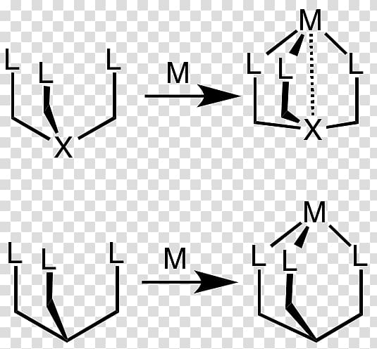 Tripodal ligand Chemistry Tridentate ligand Denticity, others transparent background PNG clipart