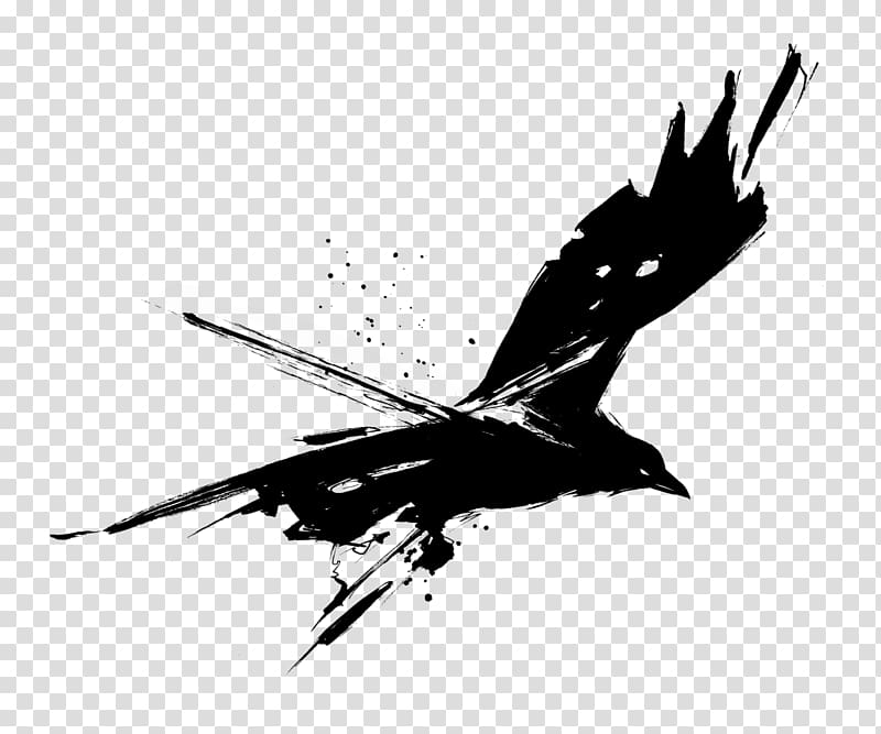 Common raven T-shirt Drawing , bee transparent background PNG clipart