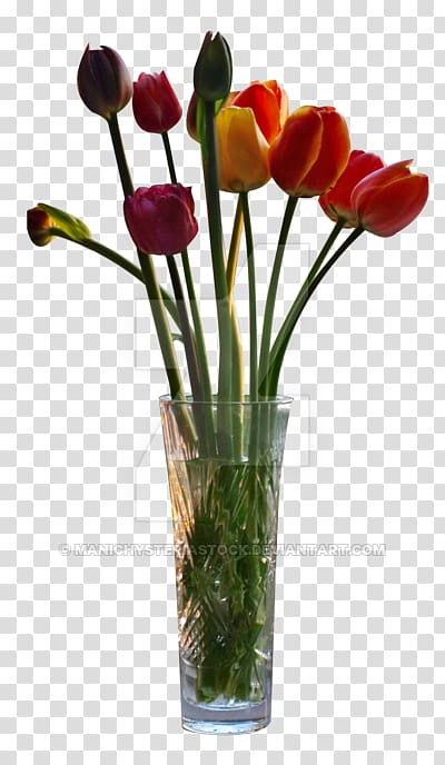 Tulip vase Tulip vase, tulip transparent background PNG clipart