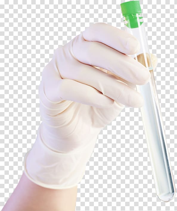 Thumb Hand model Medical glove, hand transparent background PNG clipart
