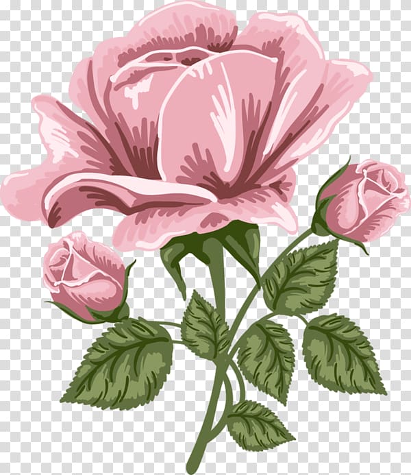 pink rose illustration, Rose Pink , Pink Rose Art transparent background PNG clipart