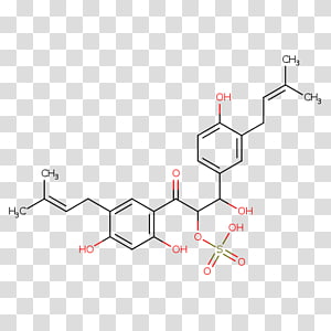 Line Point Angle, line transparent background PNG clipart thumbnail