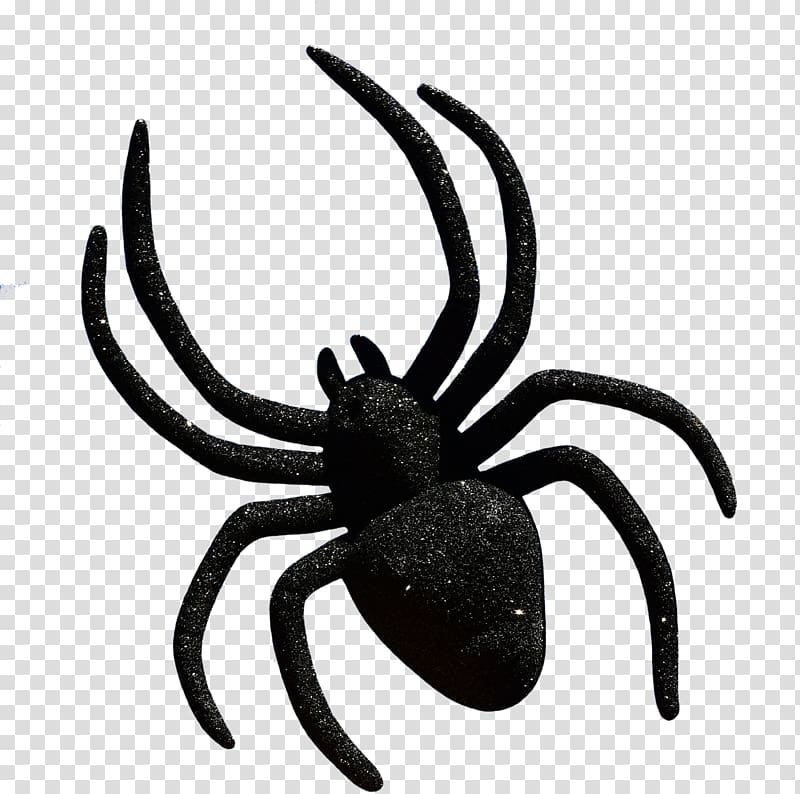 Widow spiders Halloween , spider transparent background PNG clipart