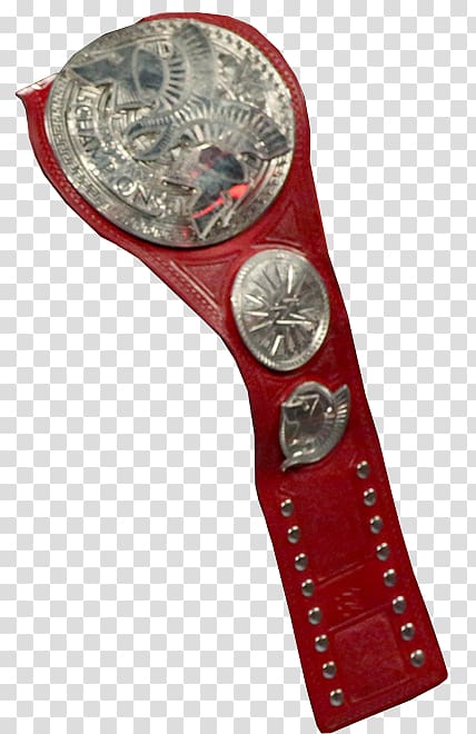 WWE Raw Women\'s Championship WWE Championship WWE Raw Tag Team Championship Professional wrestling championship World Tag Team Championship, Tag Team transparent background PNG clipart