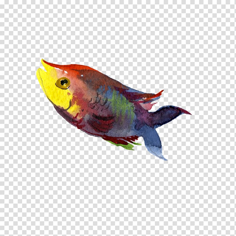 Fish Illustration, Water fish transparent background PNG clipart