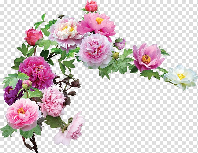 Flower Garden roses , hortensia transparent background PNG clipart