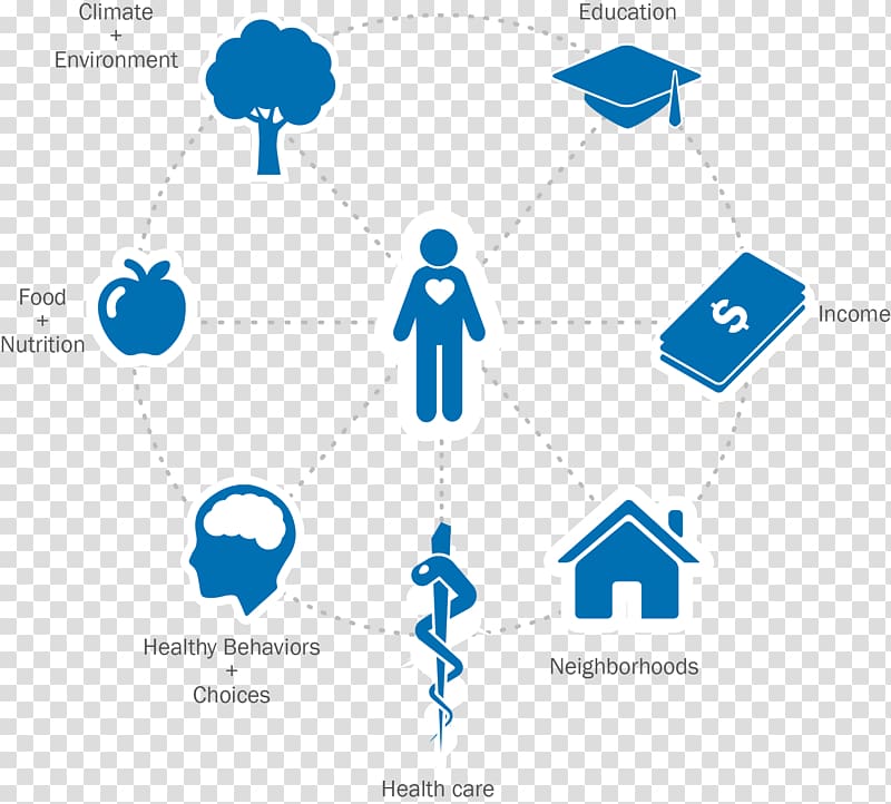 American Public Health Association Health Care Social determinants of health, data analysis transparent background PNG clipart