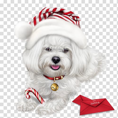 Maltese dog Puppy Havanese dog Dalmatian dog Yorkshire Terrier, puppy transparent background PNG clipart