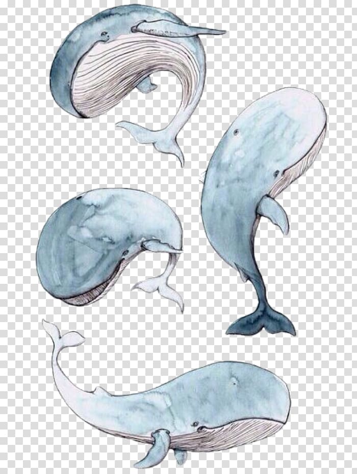 Dolphin Cetacea Drawing Watercolor painting Printing, dolphin transparent background PNG clipart