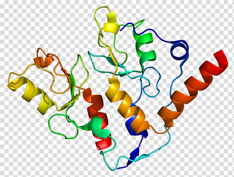 The Cancer Genome Atlas BMI1 Polycomb-group proteins RING finger domain, others transparent background PNG clipart