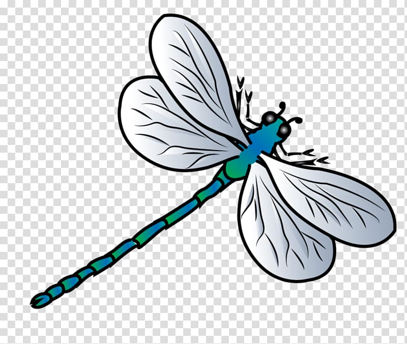 Butterfly Dragonfly , dragonfly transparent background PNG clipart