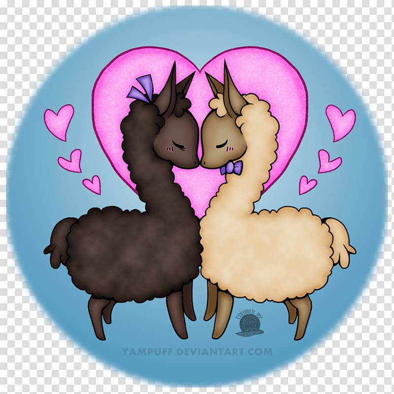 Llama Pony Cat Love Camel, Cat transparent background PNG clipart