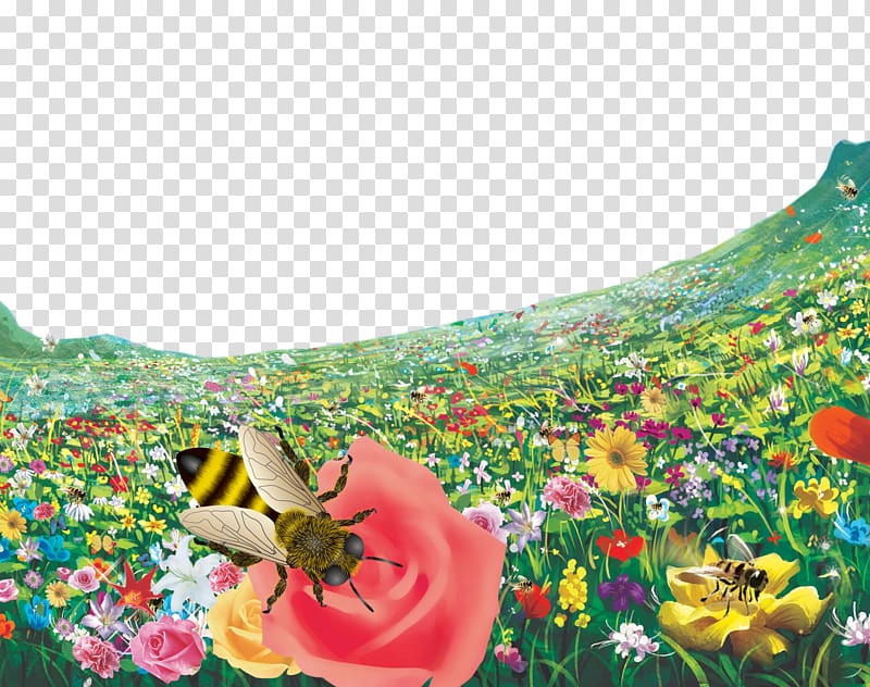 Bee Flower, Flower bee transparent background PNG clipart
