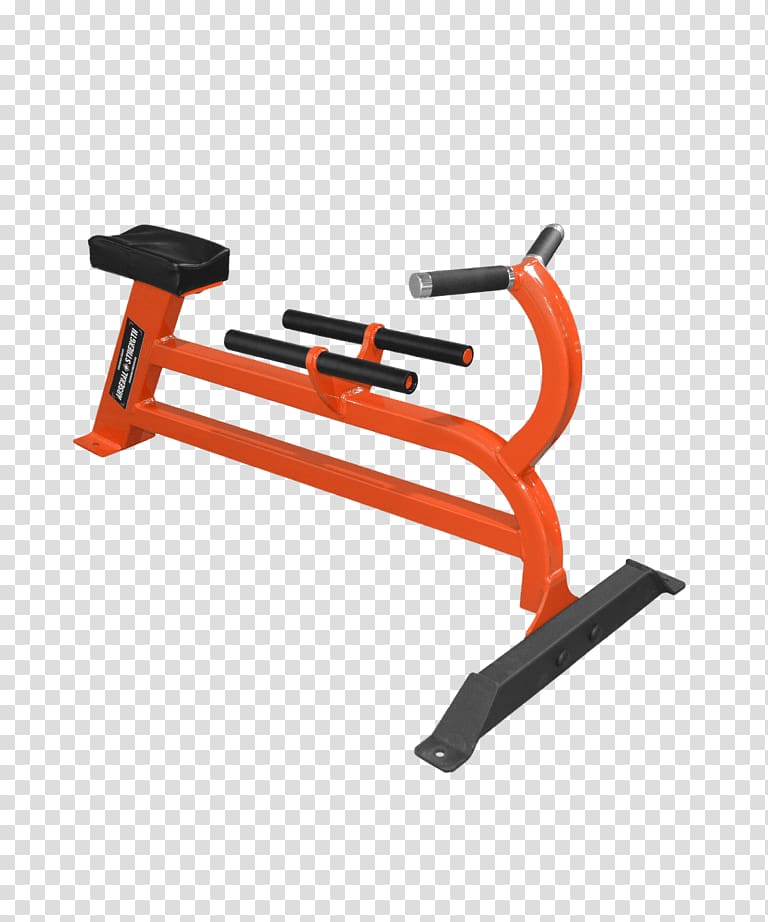 Exercise machine Bent-over row Bench Dumbbell, others transparent background PNG clipart