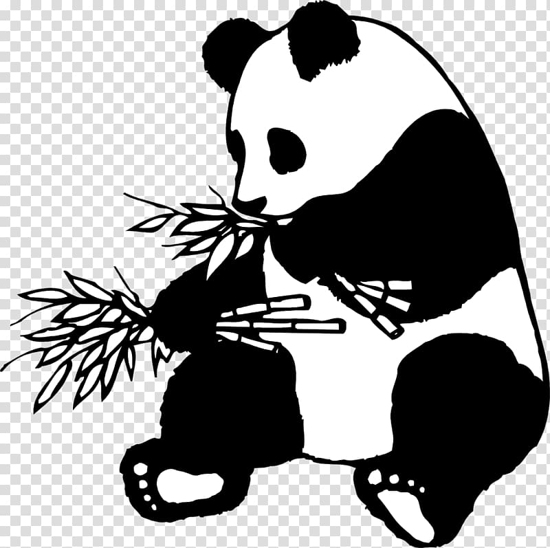 Giant panda Drawing Line art American black bear, eat bamboo transparent background PNG clipart