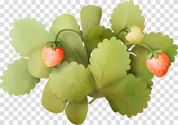 Strawberry Fruit Frame, Strawberries and green leaves transparent background PNG clipart