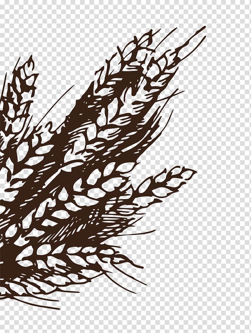 Bakery Wheat Drawing Illustration, Cartoon hand painted wheat wheat transparent background PNG clipart