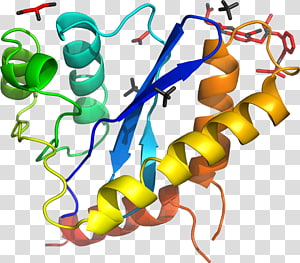 Line Point Organism , line transparent background PNG clipart thumbnail