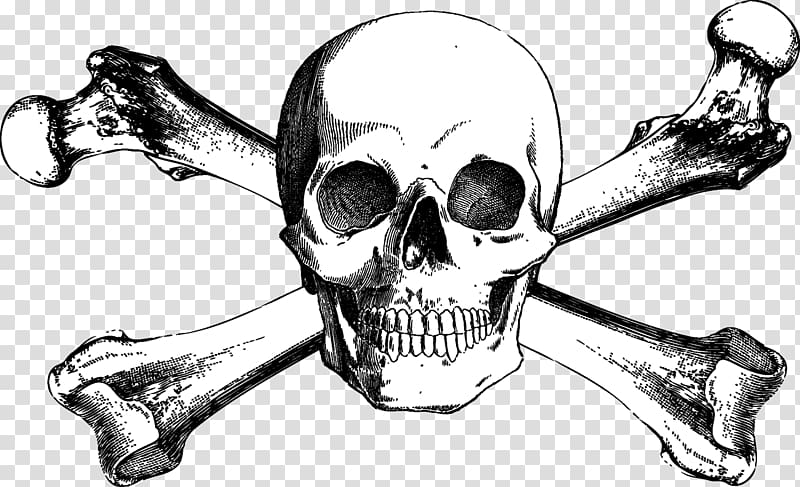 skullbone logo illustration, Skull and Bones Skull and crossbones Drawing, Skull transparent background PNG clipart