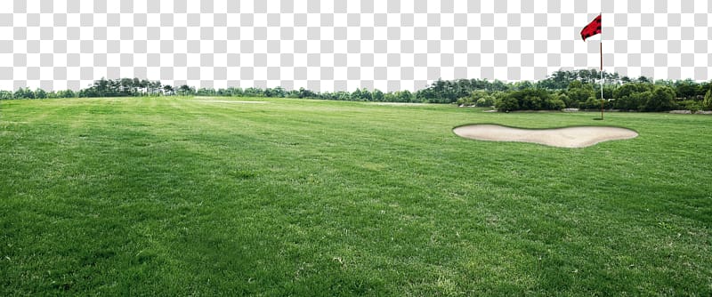 golf course, Golf course Sports venue, Golf course transparent background PNG clipart