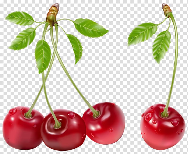 cherry png