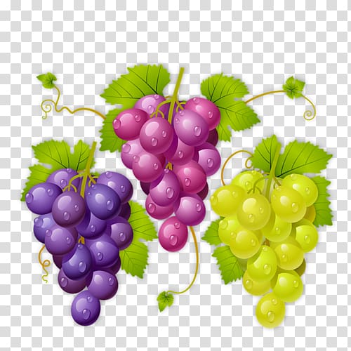 Wine La cura de la uva Common Grape Vine Raceme, wine transparent background PNG clipart