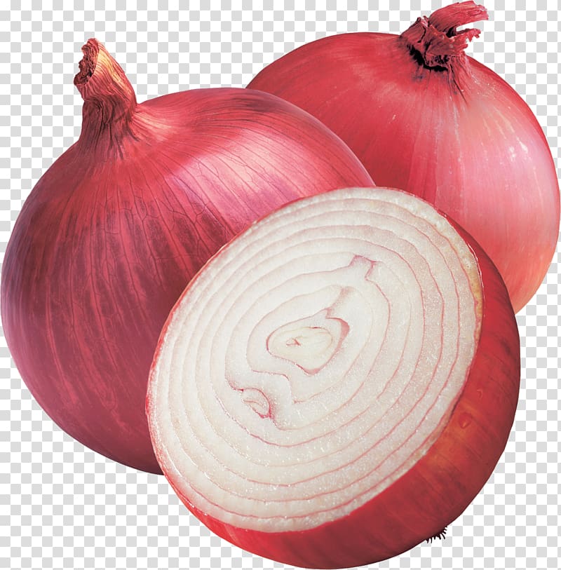 India Shallot Red onion Vegetable Yellow onion, beet transparent background PNG clipart