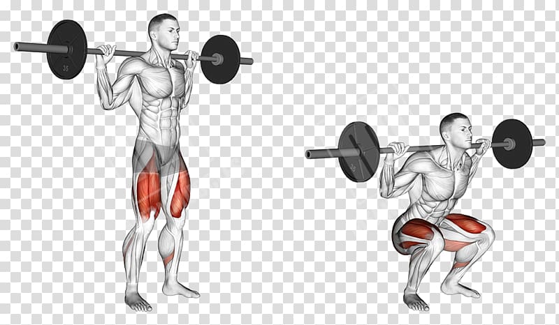 Squat Barbell Exercise Weight training Lunge, Barbell Squat transparent background PNG clipart