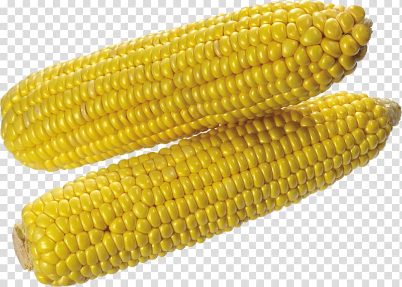 Corn on the cob Maize Sweet corn Corncob, Corn Maize transparent background PNG clipart