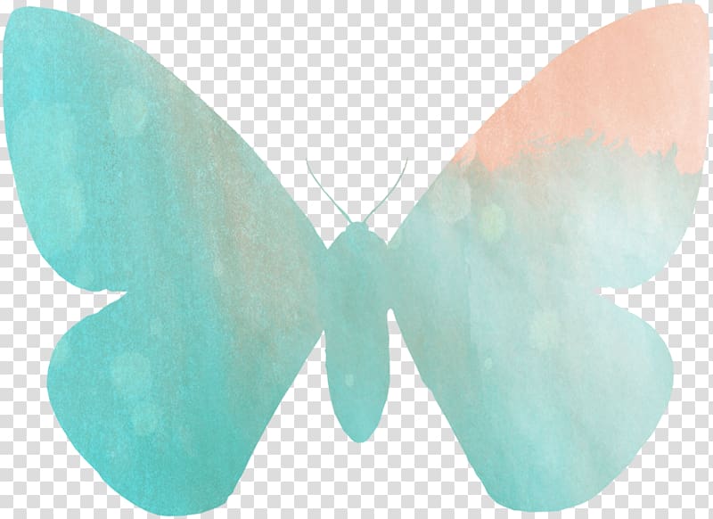Butterfly Papilio demoleus Watercolor painting Battus philenor Papilio grosesmithi, watercolor butterfly transparent background PNG clipart