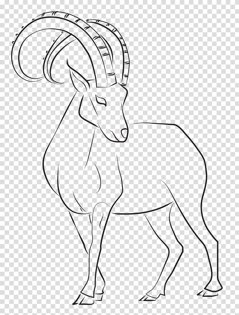 Alpine ibex Goat Drawing Line art Tattoo Art, goat transparent background PNG clipart