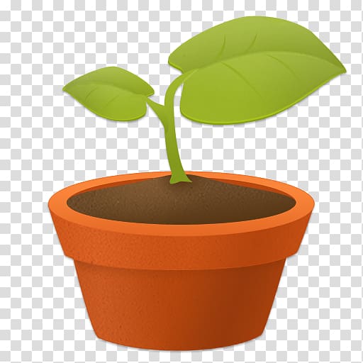 Flowerpot Bonsai Seedling Sprouting, others transparent background PNG clipart