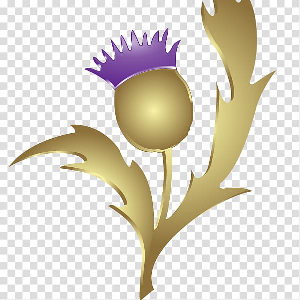 Thistle Gleneagles Scottish Gaelic Flag of Scotland Raster graphics, nut nails twitter transparent background PNG clipart