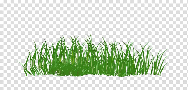 Green Cartoon , Green grass transparent background PNG clipart