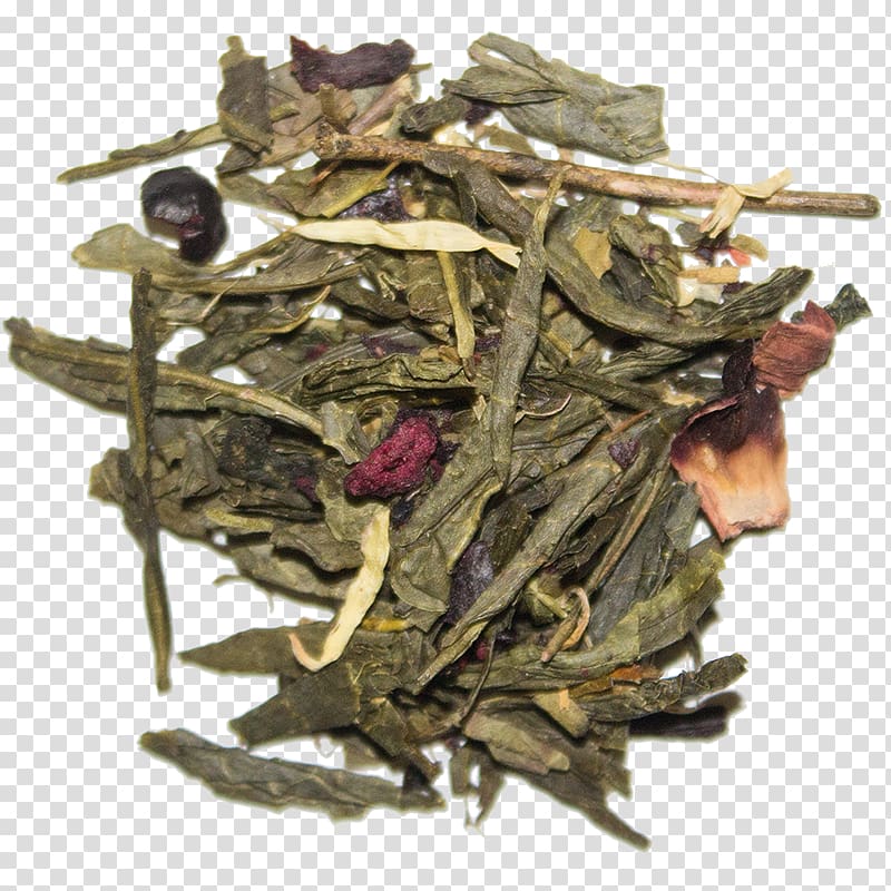 Nilgiri tea Bai Mudan Tea plant, Blueberry Tea transparent background PNG clipart